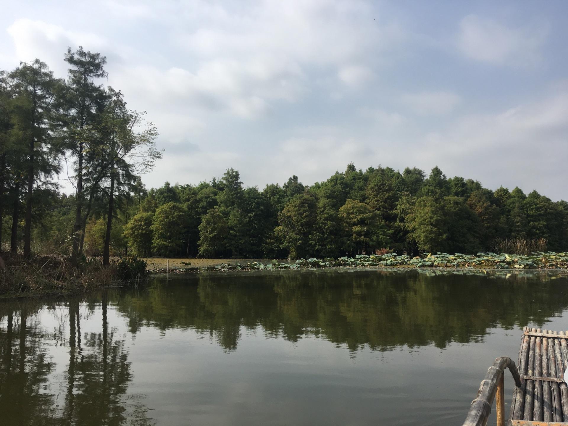 煙雨尚湖 水墨尋夢